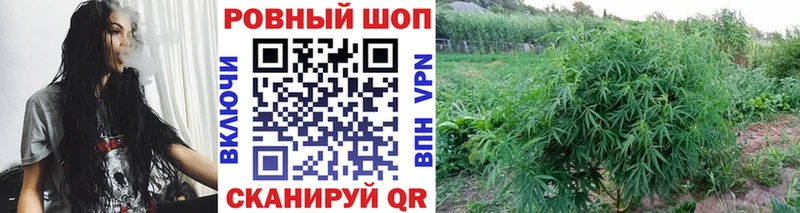 Купить наркоту Верхняя Салда КОКАИН  MDMA  ГАШИШ  Канабис  ссылка на мегу ссылки  Мефедрон  АМФЕТАМИН  Псилоцибиновые грибы 